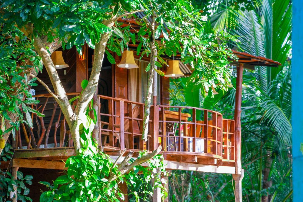 Experience The Comforts Of An Amazing Treehouse Sigiriya Exteriör bild