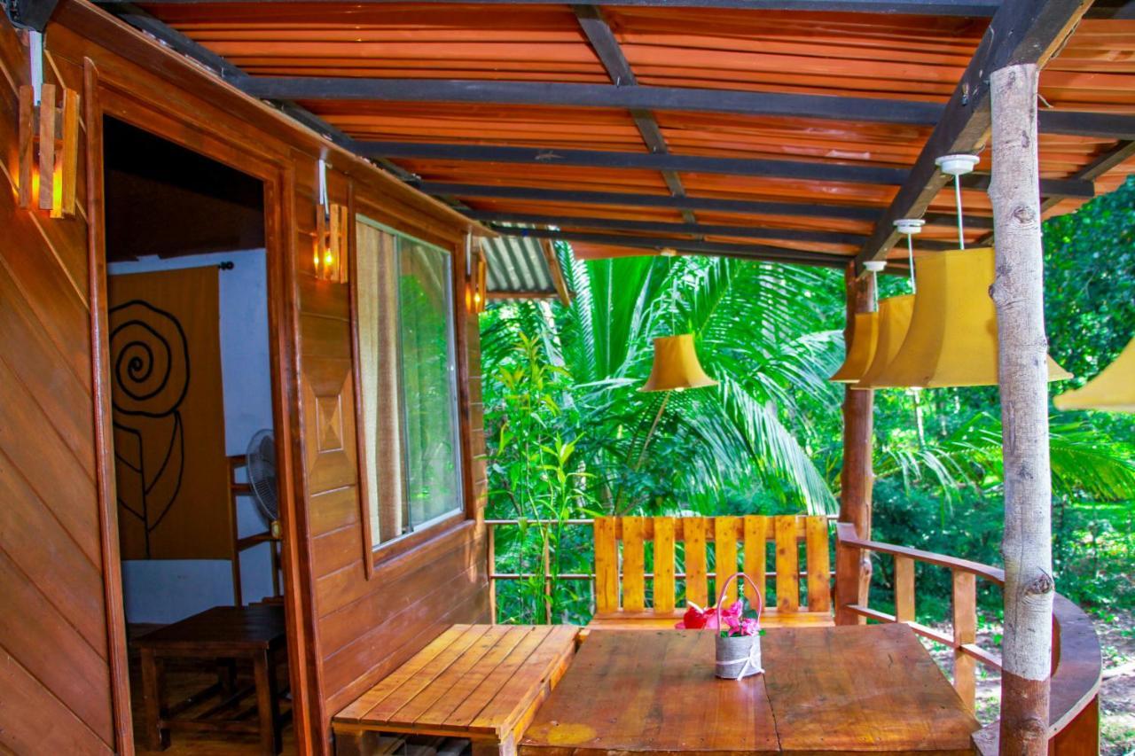 Experience The Comforts Of An Amazing Treehouse Sigiriya Exteriör bild