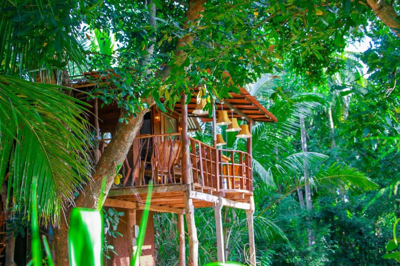Experience The Comforts Of An Amazing Treehouse Sigiriya Exteriör bild